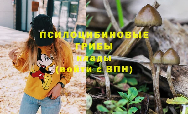 амф Пролетарск