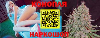 дмт Будённовск