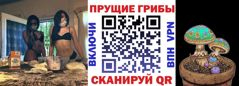 Галлюциногенные грибы Magic Shrooms это как зайти Скопин