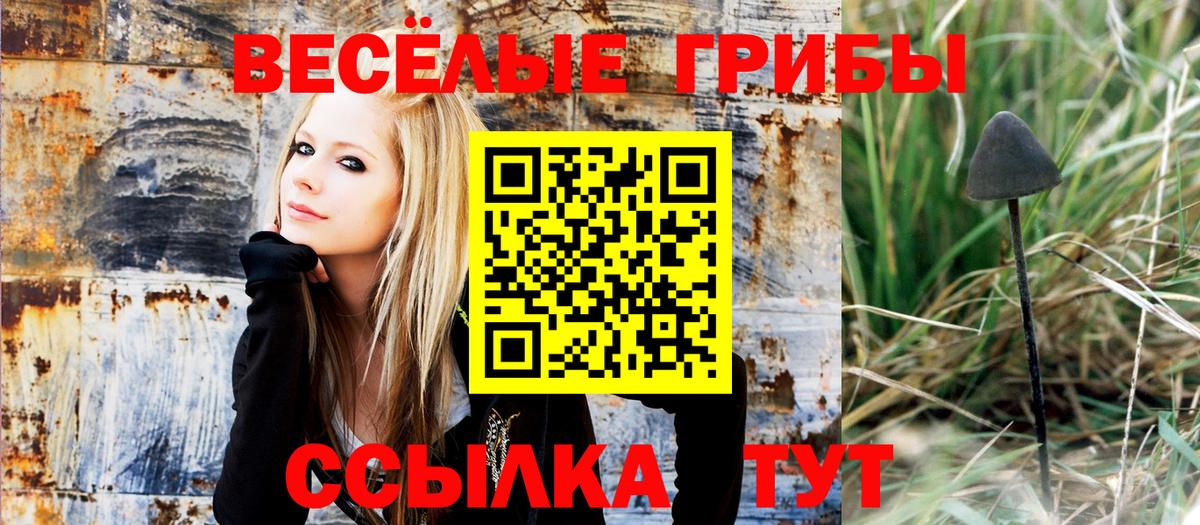 Галлюциногенные грибы Magic Shrooms  Вход с VPN  Псилоцибиновые грибы MAGIC MUSHROOMS  Скопин 